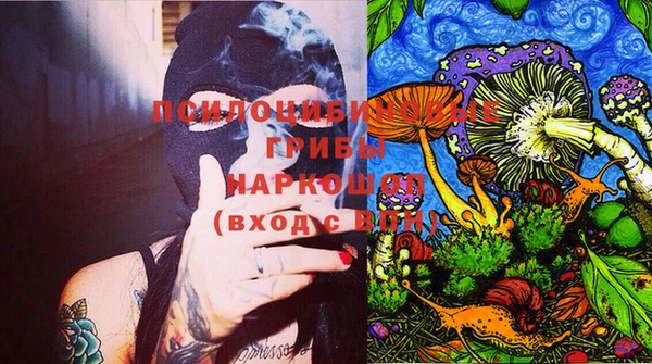 шишки Козловка