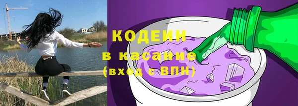 шишки Козловка